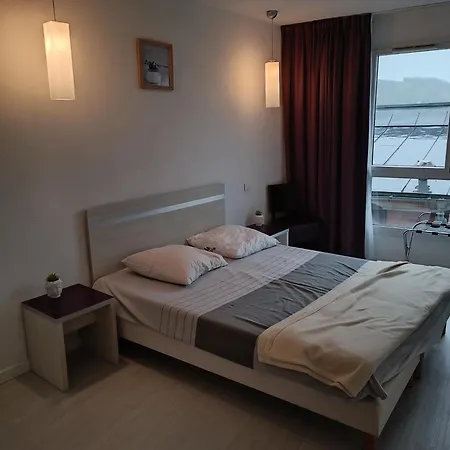 Apartmán Proche Gare Avec Parking Lurdy